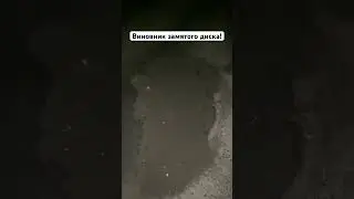 Виновник испорченного диска #поломка #колесо #дорогироссии