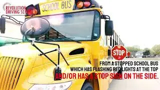 What to do when you see a school bus