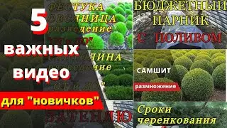 5 важных видео для 