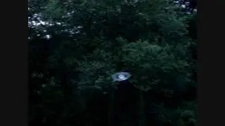 Crazy bitch flying his belt cp  ;)