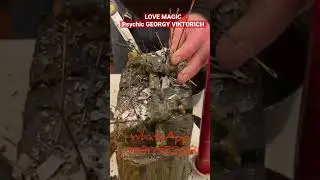 LOVE MAGIC  Psychic GEORGY VIKTORICH #Shorts #Shots #shortsvideo #lovespell