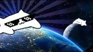 Bongo Cat in SPACE😺