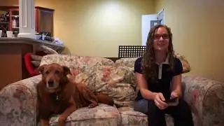 Who's More Likely To... w/ Syber
