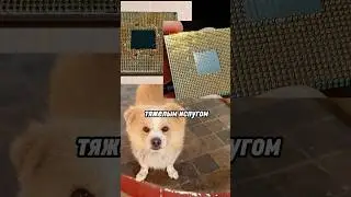 Ryzen 5 5600 в огне не горит