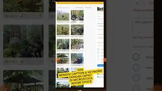 TIPS MENGISI CAPTION & KEYWORD DENGAN CEPAT DI MICROSTOCK ADOBE STOCK