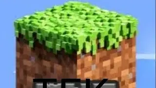 MİNECRAFT AMA TEK BLOK!