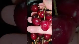 Ну, очень вкусная черешня! ♥️🍒🙏