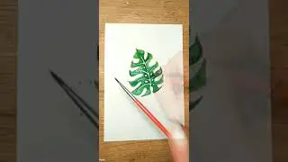 Как нарисовать лист монстеры 