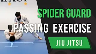Spider Guard Passing Exercise