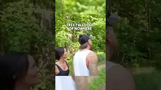 Tree falls out of nowhere
