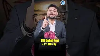 How much profit is there in onion export? 🧅💰 Onion Export: From Procurement to Profit! Understand...