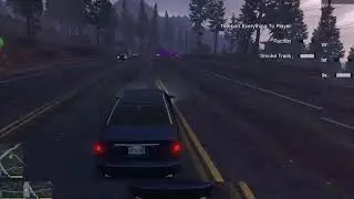 GTA V mod caos