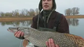 Диалоги о рыбалке. Калмыкия. Хищные рыбы. Часть 1