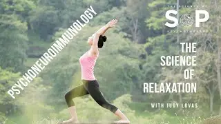 Psychoneuroimmunology-based relaxation therapy in the 21st century