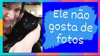 Meu gato não quer tirar foto