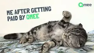 EARN real CASH with Qmee!