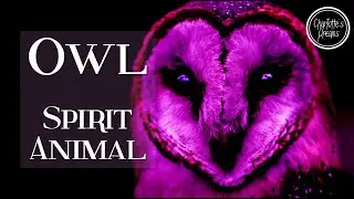 SPIRIT ANIMAL  Relaxing Music