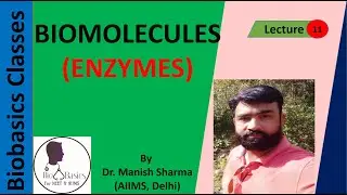 Enzyme History (Biomolecules): NCERT Chapter 9, NEET