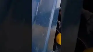 Это Башкортостан, брат!