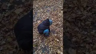 30 сентября 2021 г.