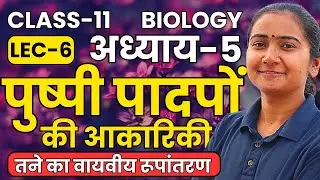L-6, तने का वायवीय रूपांतरण, अध्याय-5, पुष्पी पादपों की आकारिकी | Class-11th Bio कक्षा-11 जीवविज्ञान