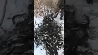 Зимняя рыбалка