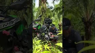 Sarapan pagi di Hamparan Pohon Kurma Kalimantan
