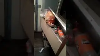 Поезд Хабаровск-Чегдомын