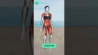 ➜ Do This STANDING 30 Min to Lose That STUBBORN BELLY FAT Exercise #15