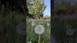 природа России 💙💚💗 