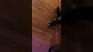 Beginner game trick 5 Guin