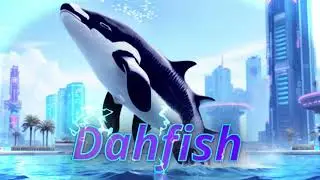 New Intro Video