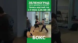 Зеленоград новости спорта. Школа бокса весной. Запись круглый год 4.