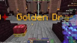 Minecraft SkyBlock survival in Hypixel #28