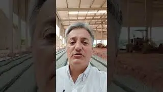 Câmara Fria e de Congelamento by Supporte Engª