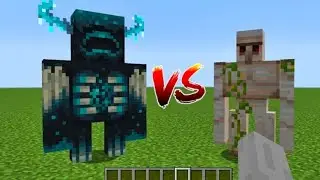 WARDEN VS IRONGOLEM !!