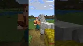 ЧТО ЛУЧШЕ ЛОШАДЬ 🐎 ИЛИ СВИНЬЯ 🐷 ? 
