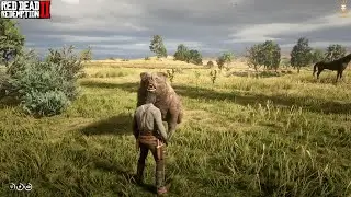 RDR2 - How to Protect Yourself from Bear Attacks