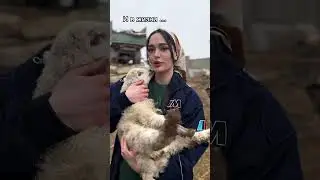 ИНСТ vs. ЖИЗНЬ😂
