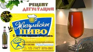 Рецепт ЖИГУЛЕВСКОГО ПИВА с листьями черной смородины I Варим пиво дома в кастрюле