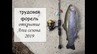 Трудовая форель.  Открытие area сезона 2019
