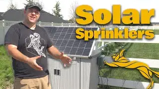 Sun’s Out, Sprinklers On: Setting Up Solar-Powered Irrigation