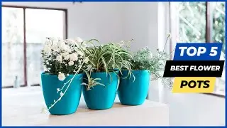 ✅ Top 5 best flower pots review 2023 ( Top 5 Picks) 🔥