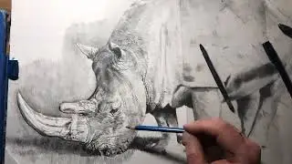 Come disegnare un rinoceronte parte 9