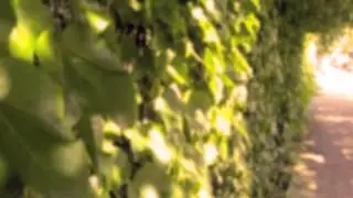 A peek at the Darth Vader Remix - Xtra