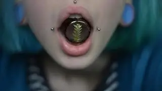 МОЯ КОЛЛЕКЦИЯ ПЛАГ И ТОННЕЛЕЙ