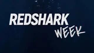 Shark Week 2023 (Teaser) | Red Shark Digital