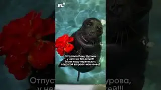 Согласна? Подписывайся, здесь самое большое комьюнити 9-11 классов☀️ #егэленд #11класс #юмор #дуров