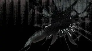 Disektor - Self-assembly