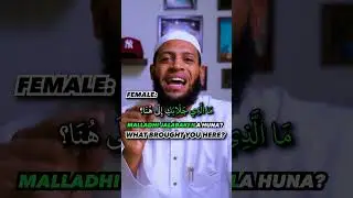 How do you say "what brought you here?" in Arabic